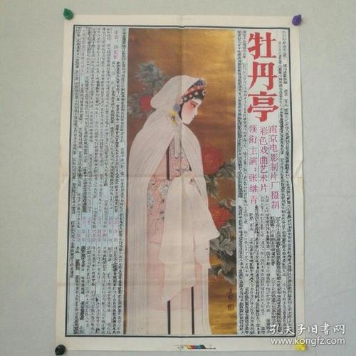 新南威尔士大学 Design degree certificate